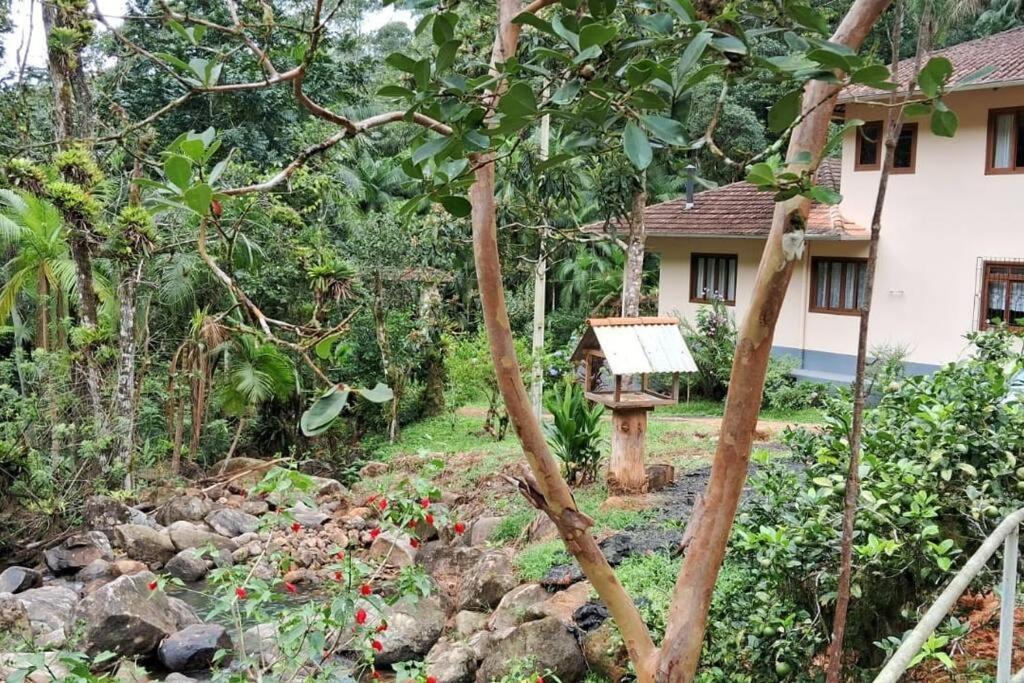 Sitio Som Das Aguas Benedito Novo Exterior photo