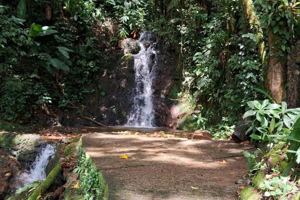 Sitio Som Das Aguas Benedito Novo Exterior photo