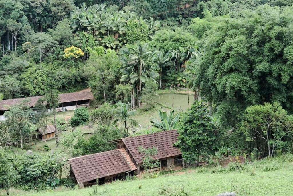 Sitio Som Das Aguas Benedito Novo Exterior photo
