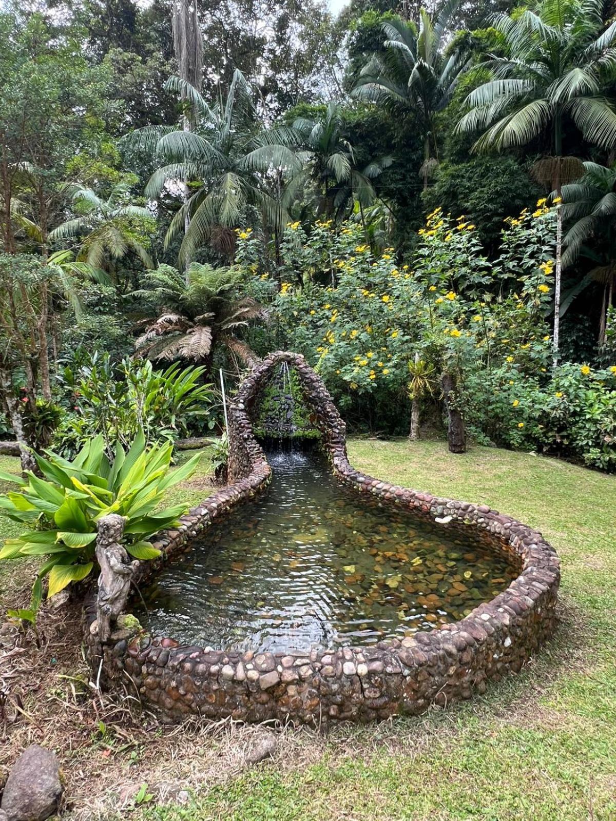 Sitio Som Das Aguas Benedito Novo Exterior photo